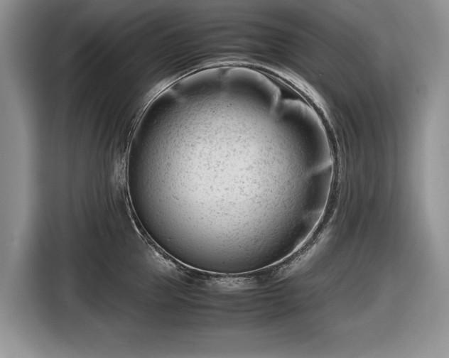 X0000116660953200912211505