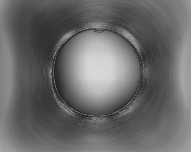 X0000116660954200912211505