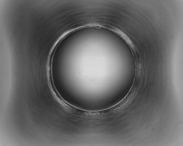 X0000116660955200912211505