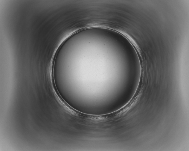 X0000116660957200912211505