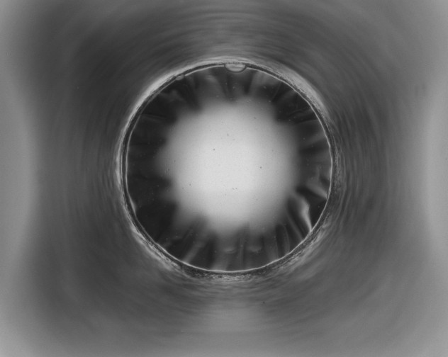 X0000116660958200912211505