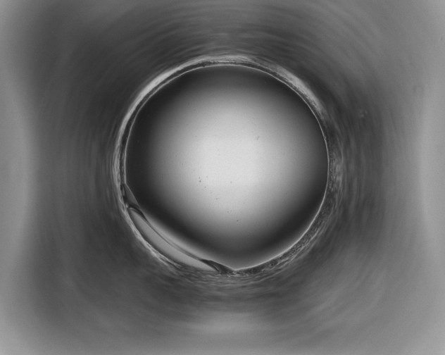 X0000116660959200912211505