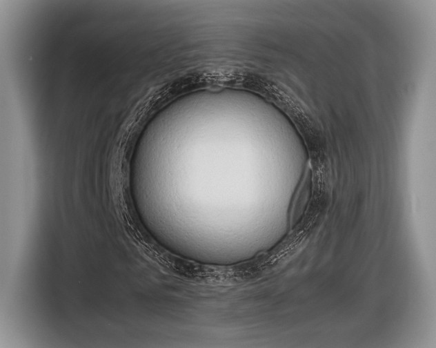 X0000116660961200912211504