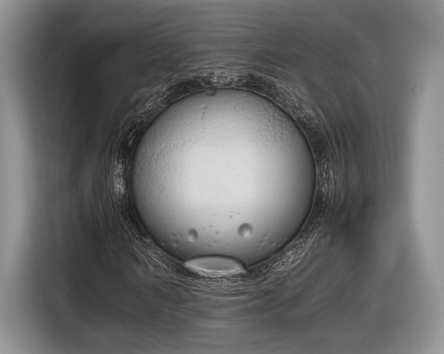 X0000116660962200912211504