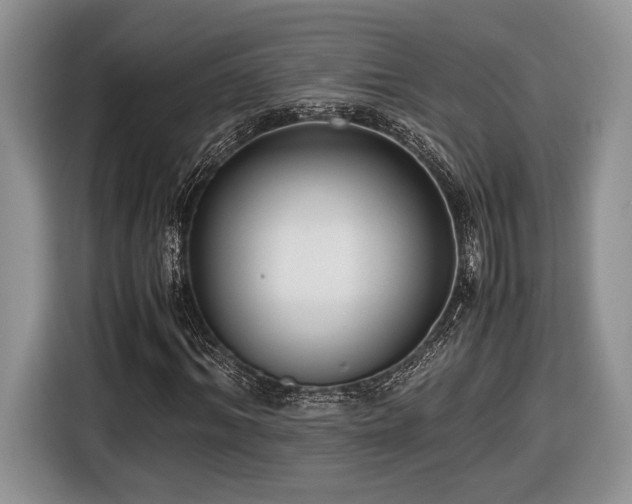 X0000116660964200912211504