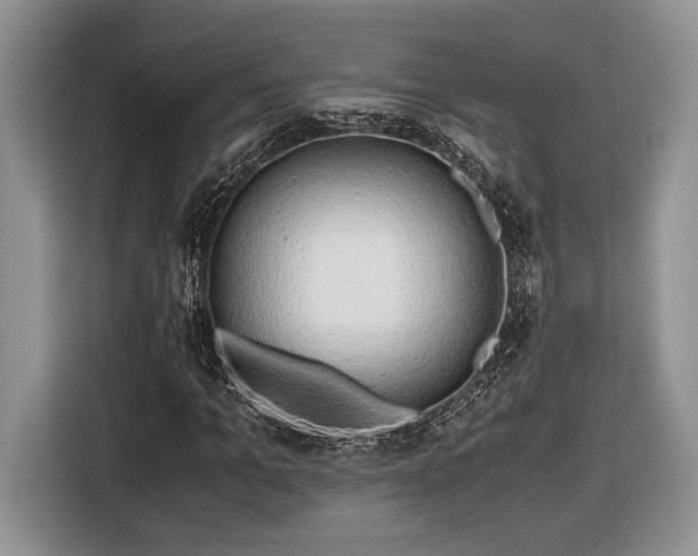 X0000116660965200912211504