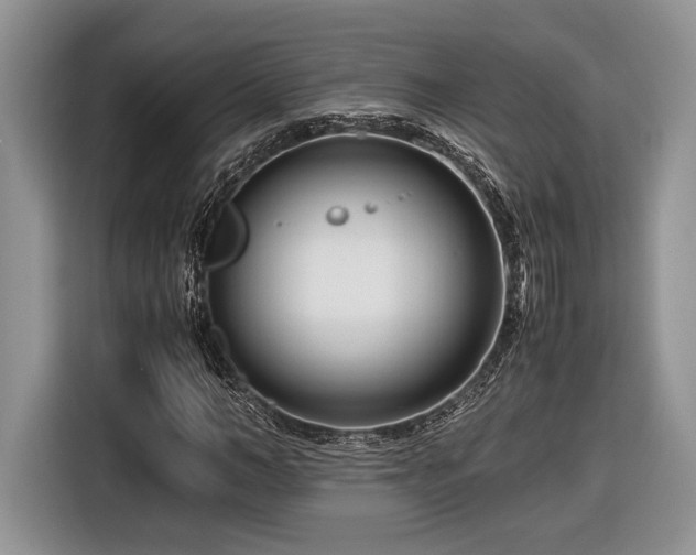 X0000116660966200912211504