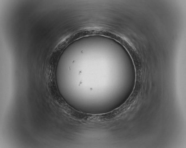 X0000116660967200912211504