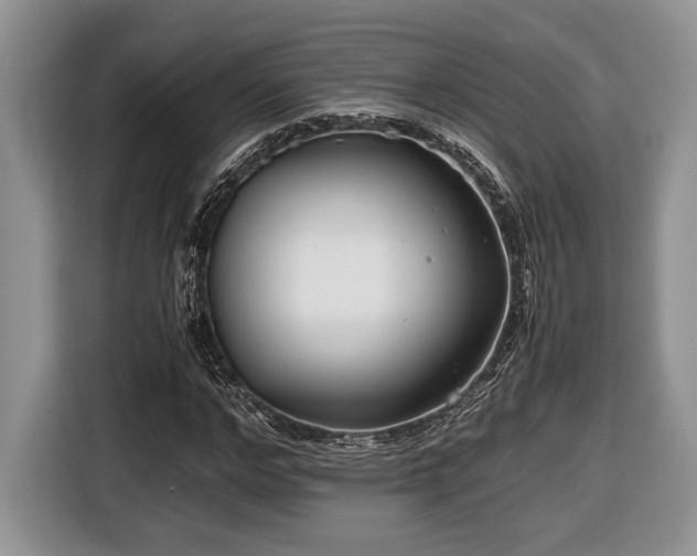 X0000116660968200912211504