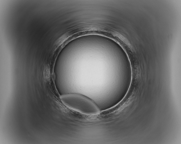 X0000116660969200912211504