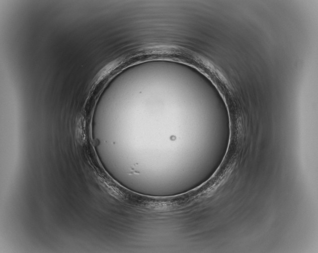 X0000116660970200912211504