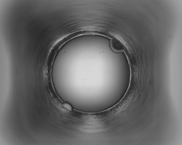 X0000116660971200912211504