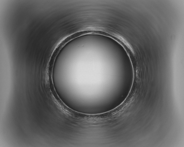 X0000116660972200912211504