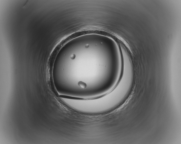 X0000116660973200912211504