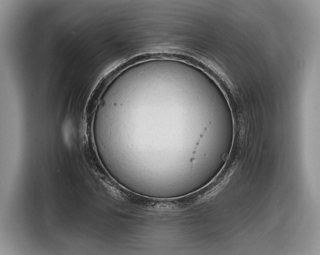 X0000116660974200912211504