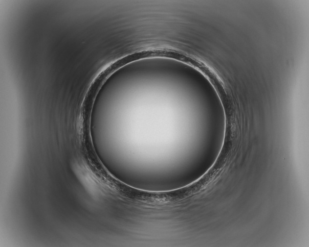 X0000116660975200912211504