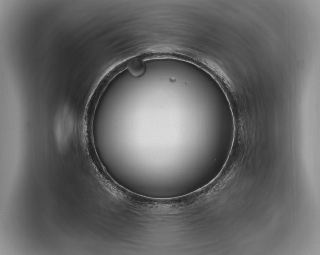 X0000116660976200912211504