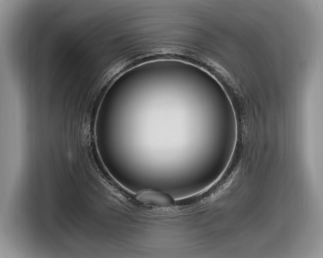 X0000116660977200912211504