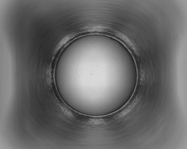 X0000116660978200912211504