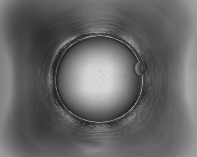 X0000116660979200912211504