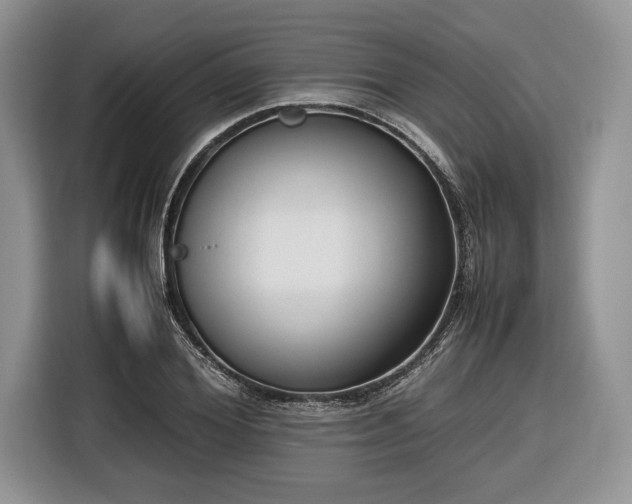 X0000116660980200912211504