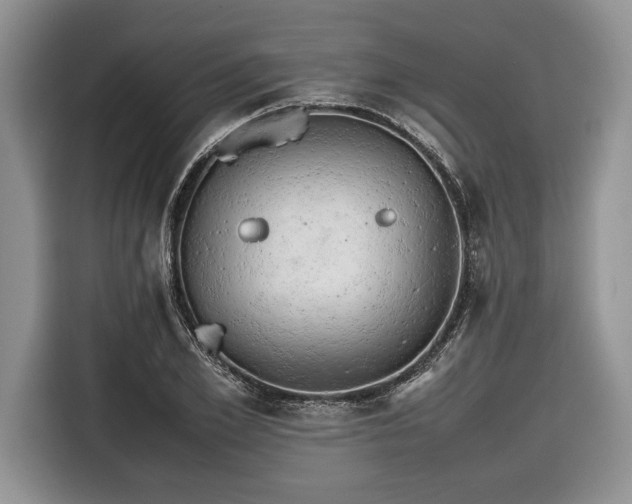 X0000116660981200912211504