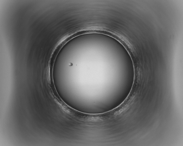 X0000116660982200912211504