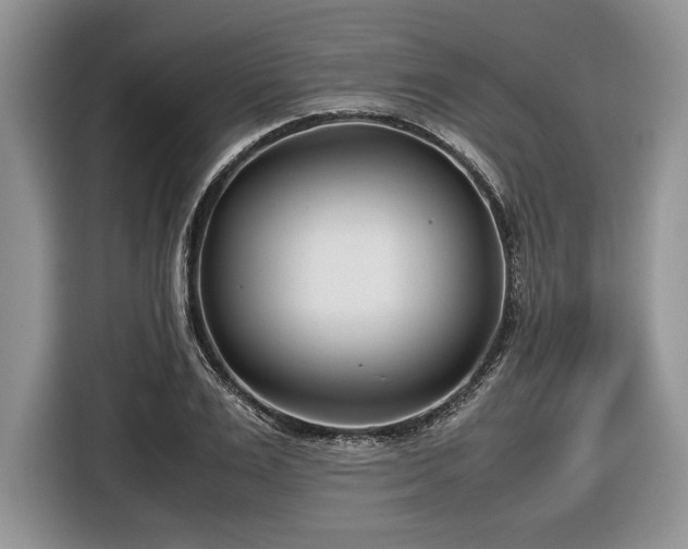 X0000116660983200912211504