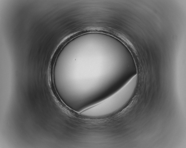 X0000116660984200912211504