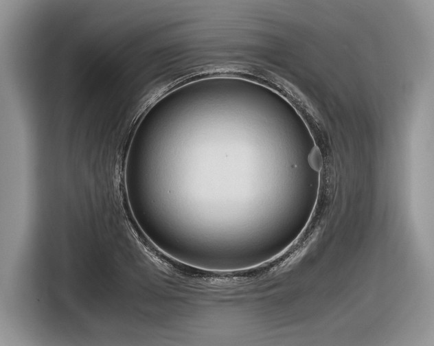 X0000116660985200912211504