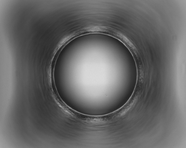 X0000116660986200912211504