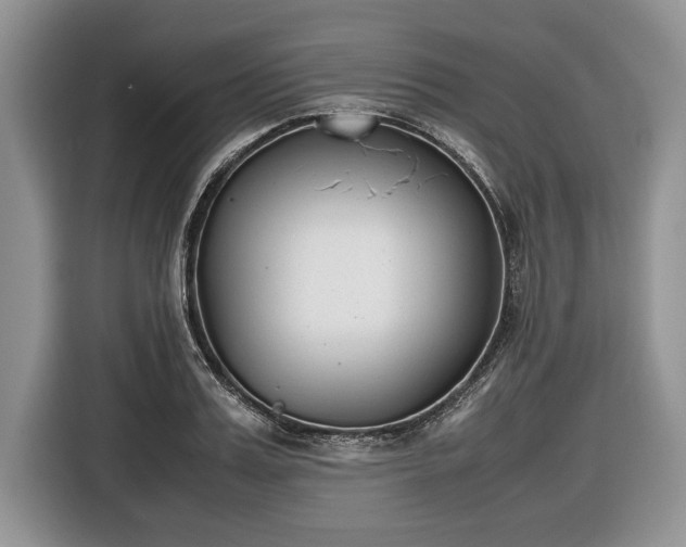 X0000116660987200912211504