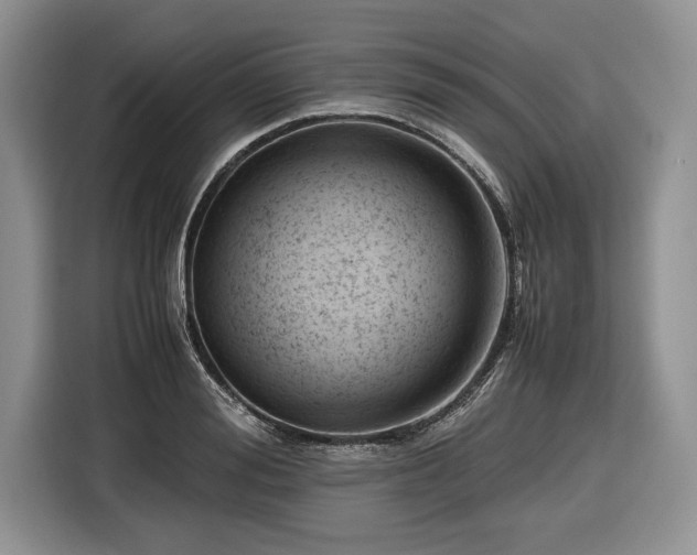 X0000116660988200912211504