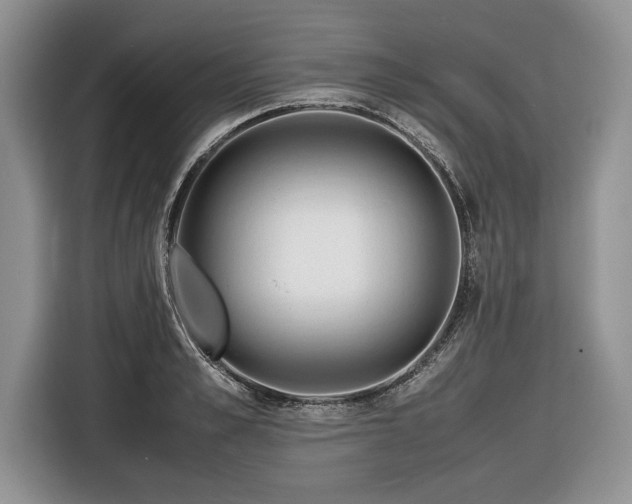 X0000116660989200912211504