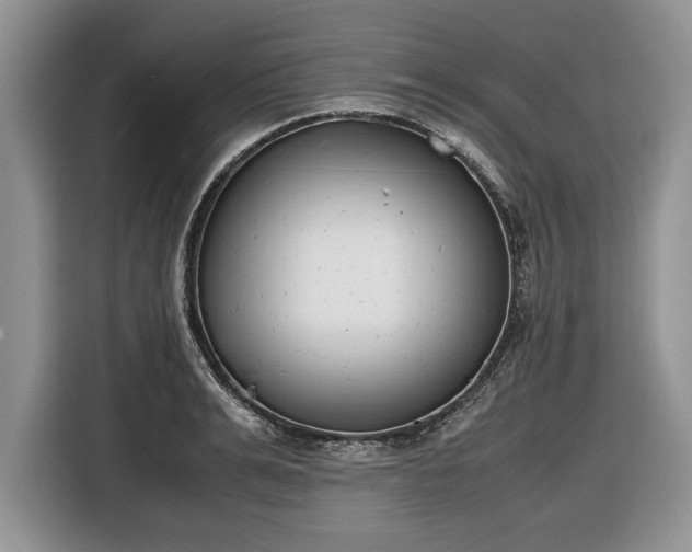 X0000116660991200912211504