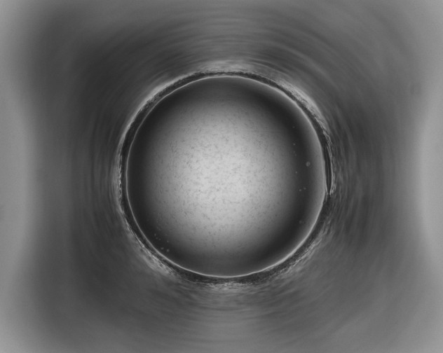 X0000116660992200912211504