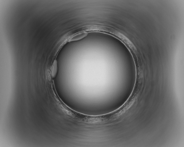 X0000116660993200912211504