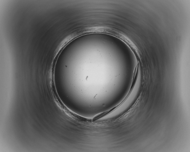 X0000116660994200912211504