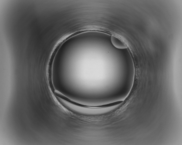 X0000116660995200912211504