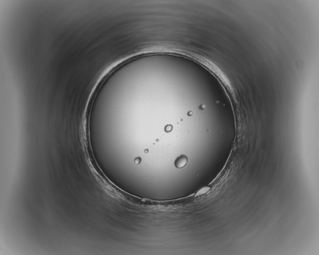 X0000116660996200912211504