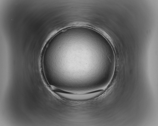 X0000116660997200912211504