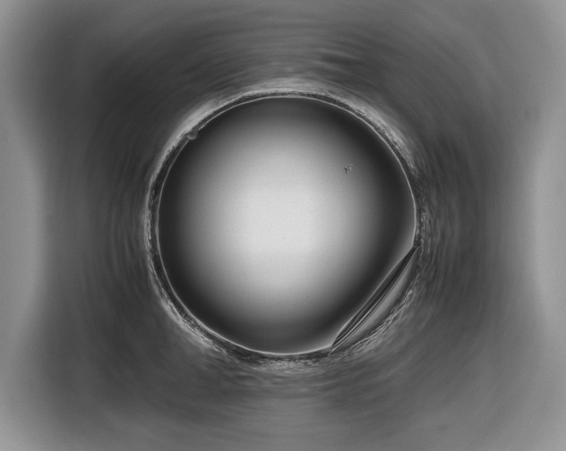 X0000116660998200912211504