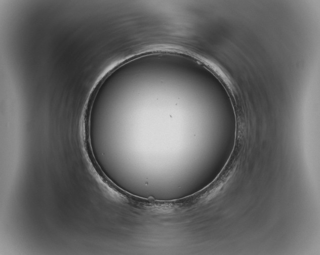 X0000116660999200912211503