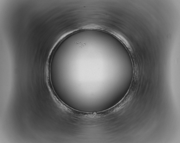 X0000116661000200912211503