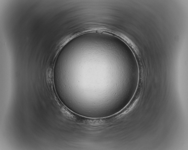 X0000116661001200912211503