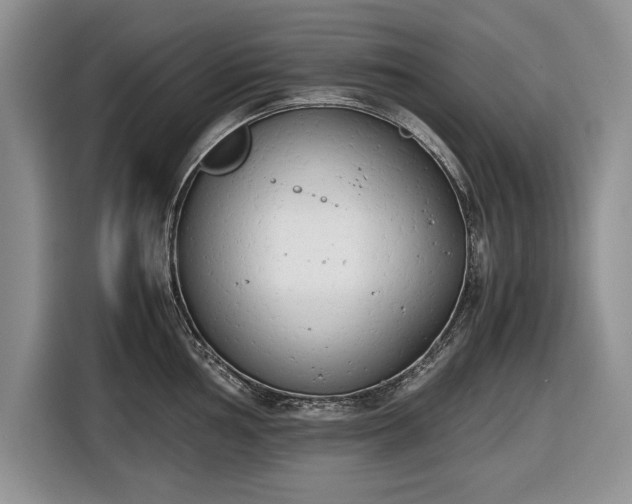 X0000116661002200912211503