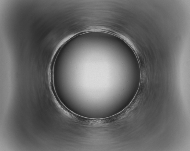 X0000116661003200912211503