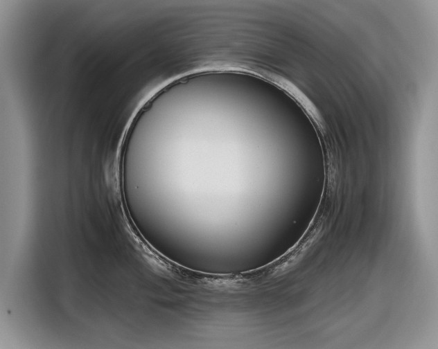 X0000116661004200912211503