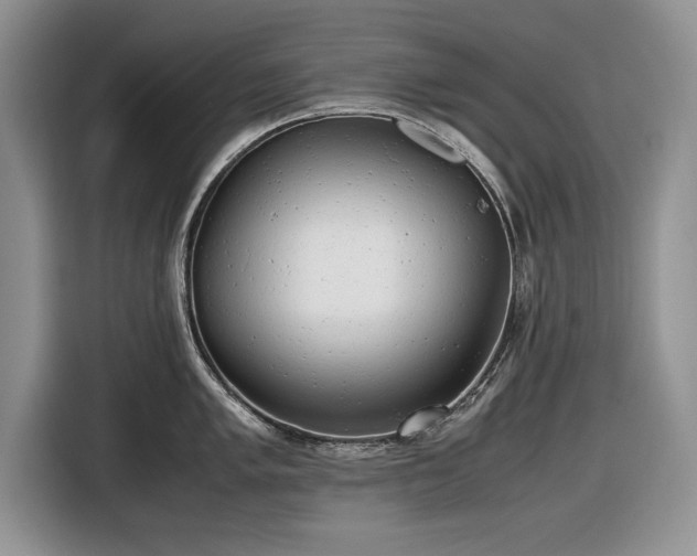 X0000116661005200912211503