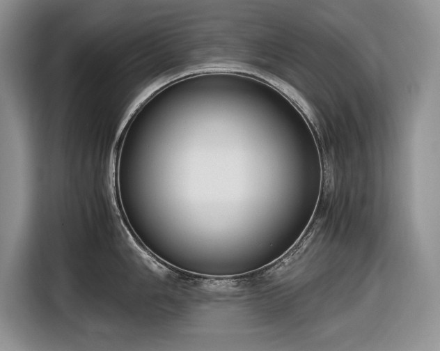 X0000116661006200912211503